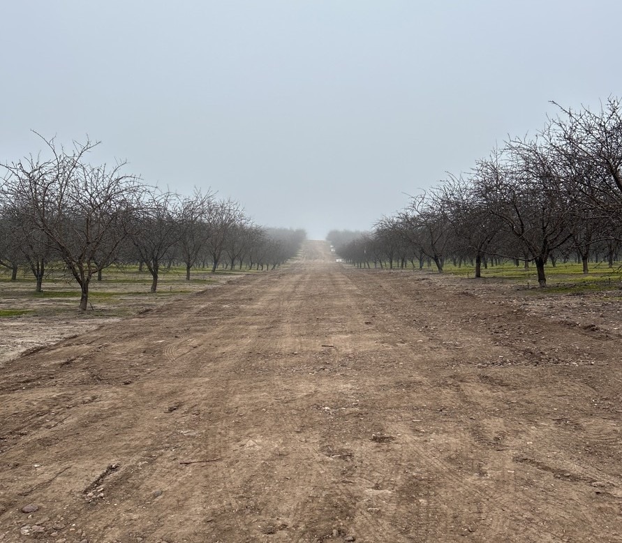 Almond trees stretch to the horizon under gloomy January skies on the Three Bars Ranch near Oakdale, now protected from development by the California Farmland Trust.