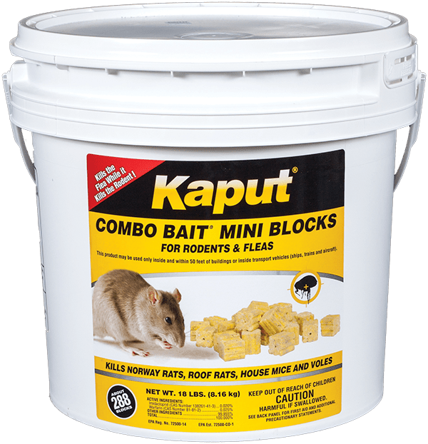 bucket of rodent bait