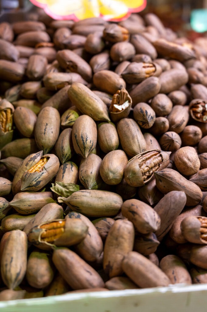 Texas pecan growers expect larger crop despite heat, disease