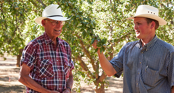 Almonds & walnuts are the anchor of Bays Ranch