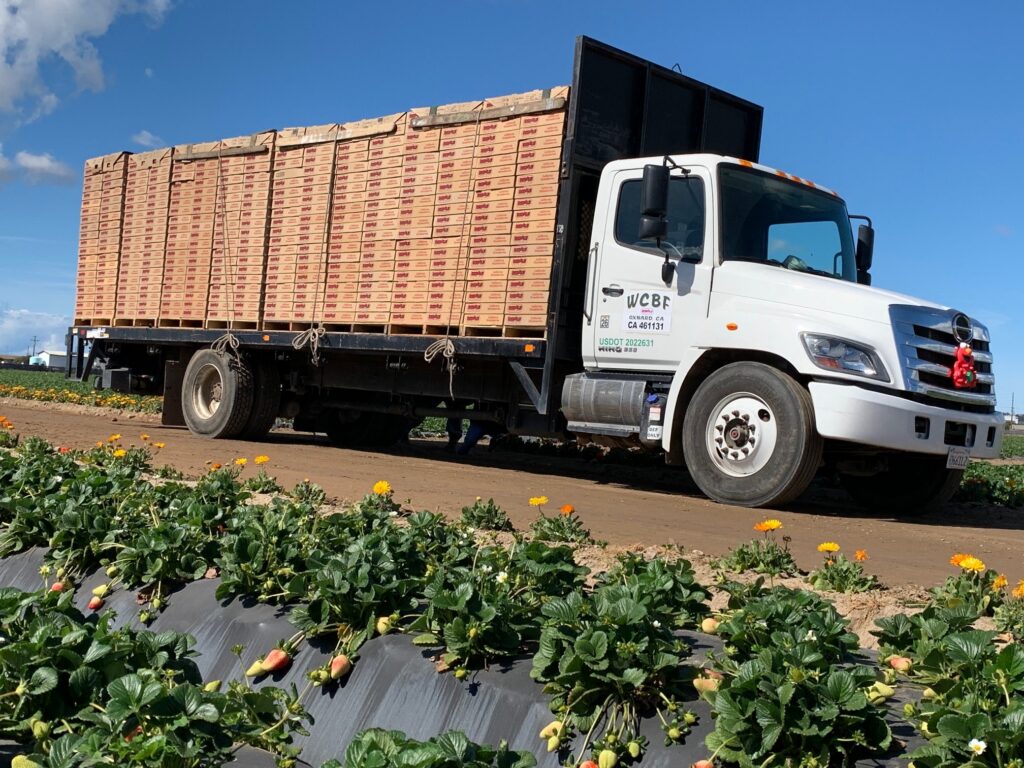 Trump order gives farmers temporary dyed diesel relief